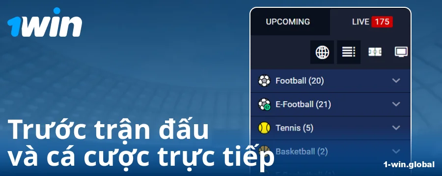 Các giải đấu trên trang web 1Win VN
