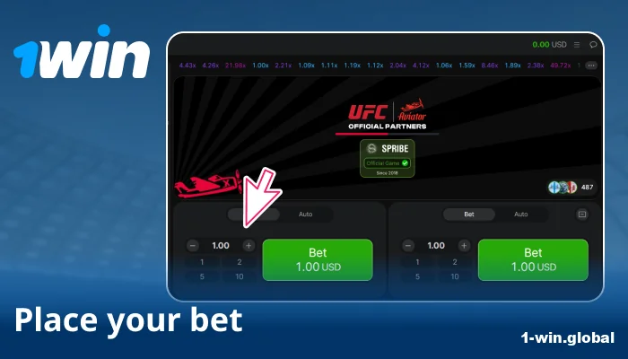 Pick stake size and set options like Auto Bet or Auto Cashout